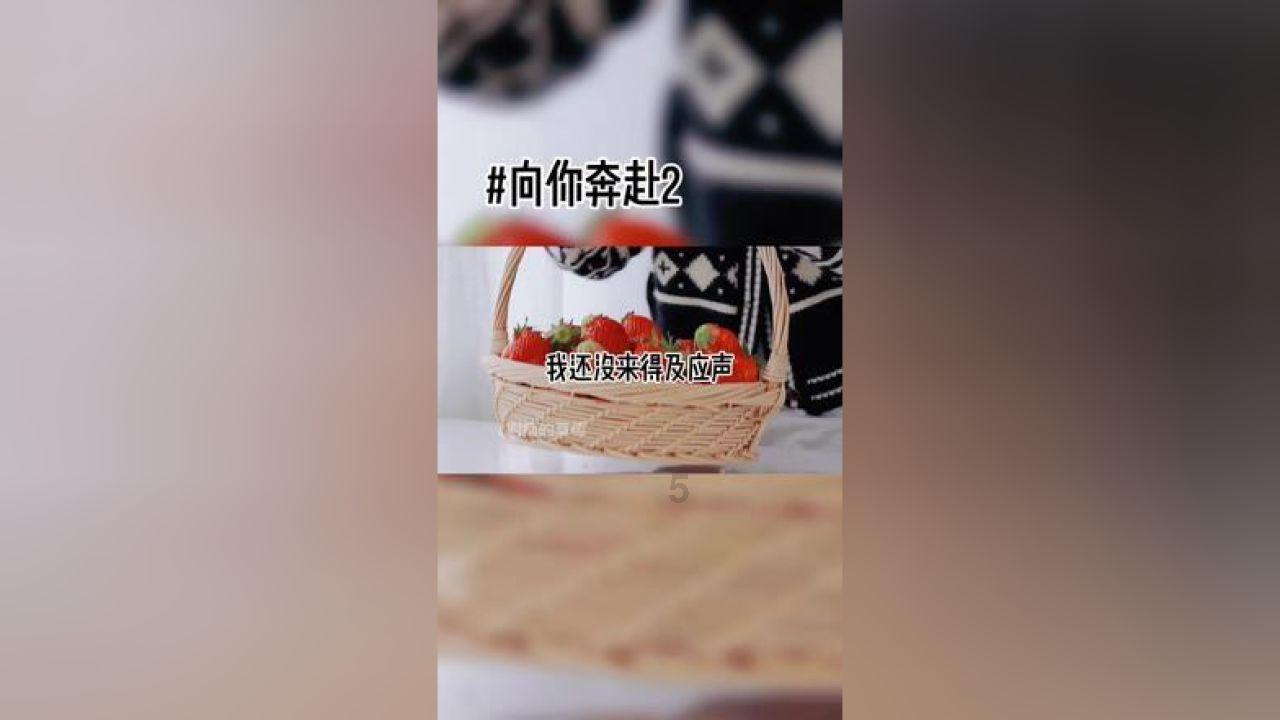 塔科马
