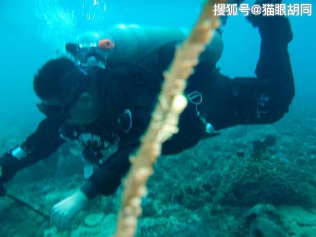 900公里探寻草莓基地,五菱星光一口气直达丹东