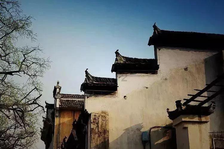 部落陷阱逃脱